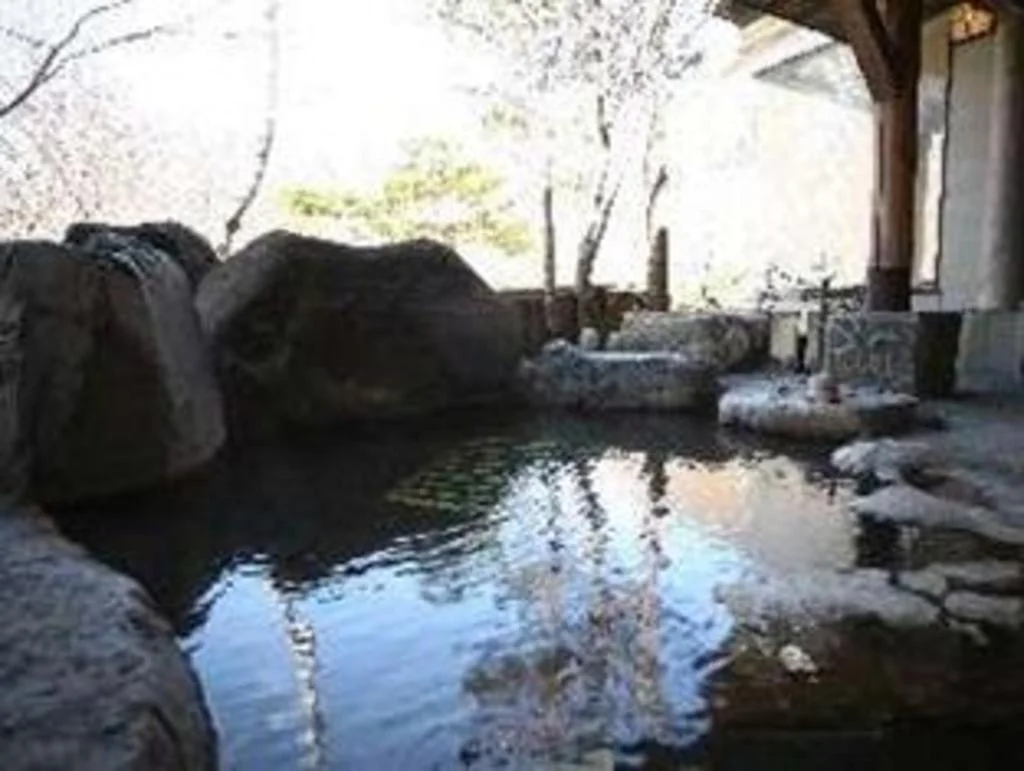 Okuhida Onsen Matsunoi 高山住宿照片 (4)