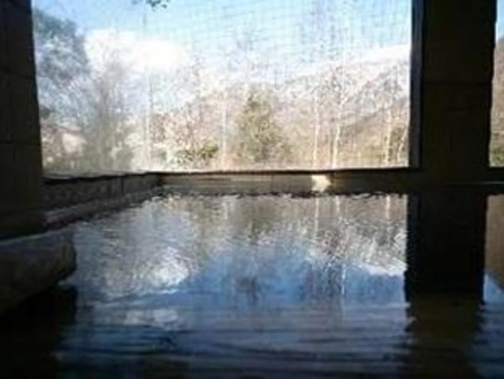 Okuhida Onsen Matsunoi 高山住宿照片 (5)