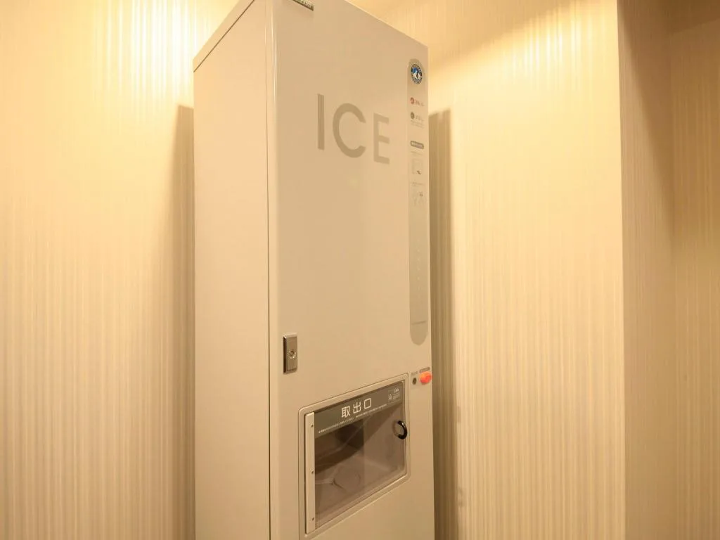 里士滿高級酒店淺草國際通（Richmond Hotel Premier Asakusa International）酒店照片 5/5