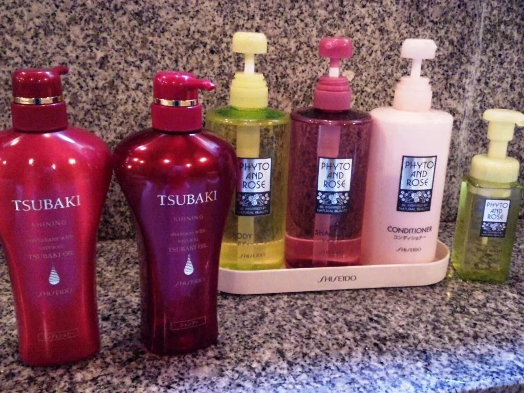 Ryokan Asunaro 高山住宿照片 (2)