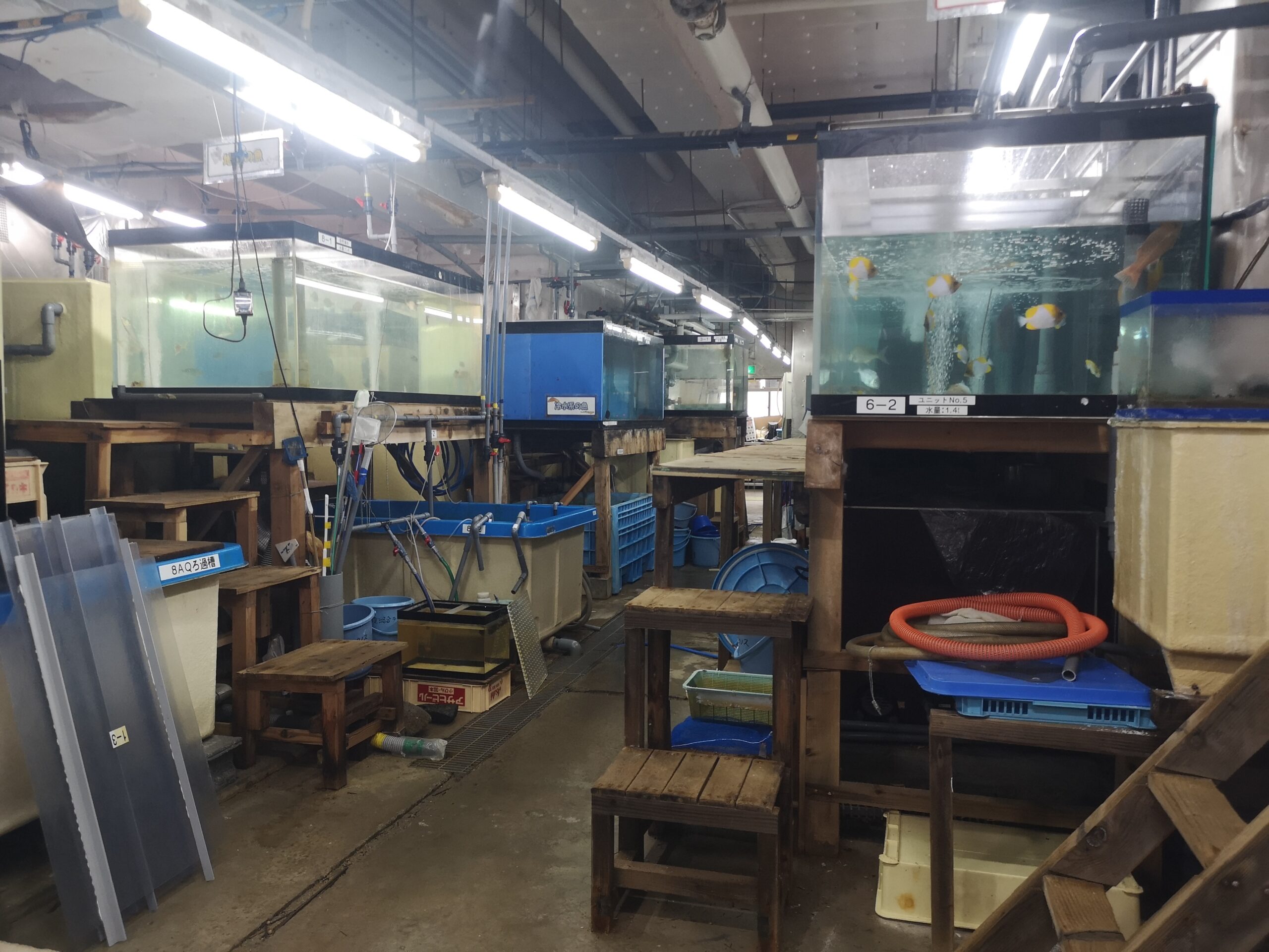 Uocchikan バックヤード