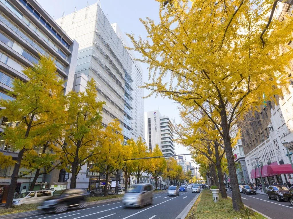 VIA INN心齋橋（VIA INN Shinsaibashi）酒店照片 5/5