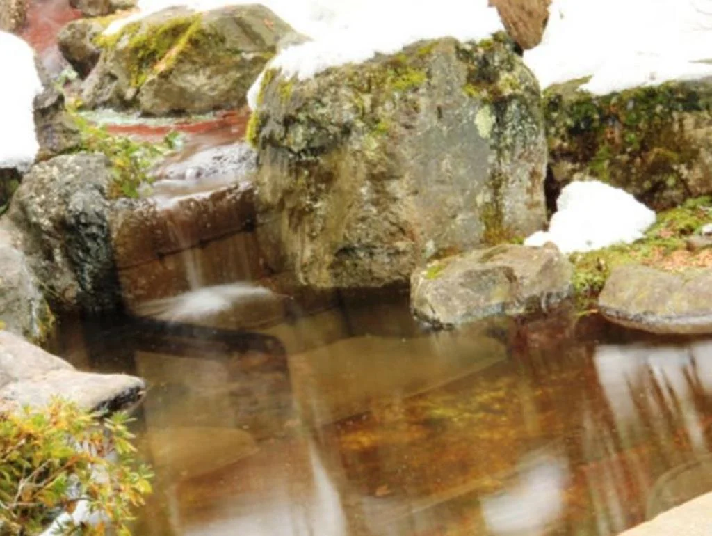 Wafu Ryokan Gizan 高山住宿照片 (5)