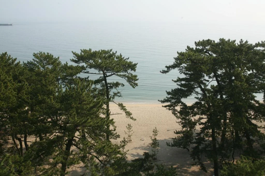 Yumekaiyu Awajishima - Sumoto Onsen awaji住宿照片 (2)