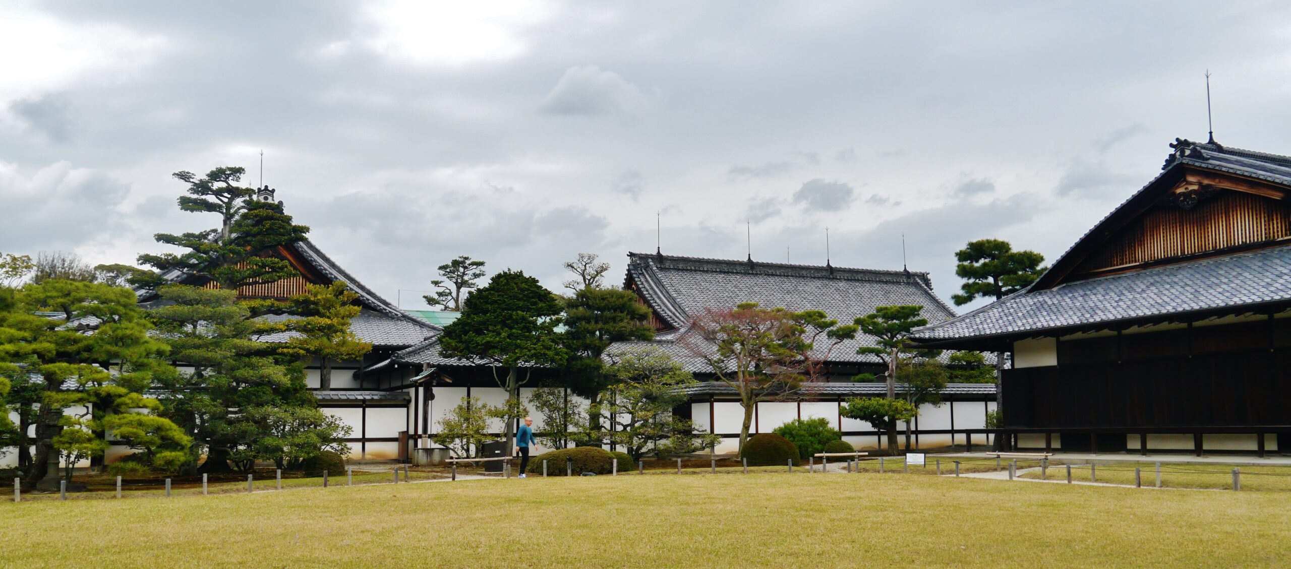 二條城本丸御殿金箔障壁畫