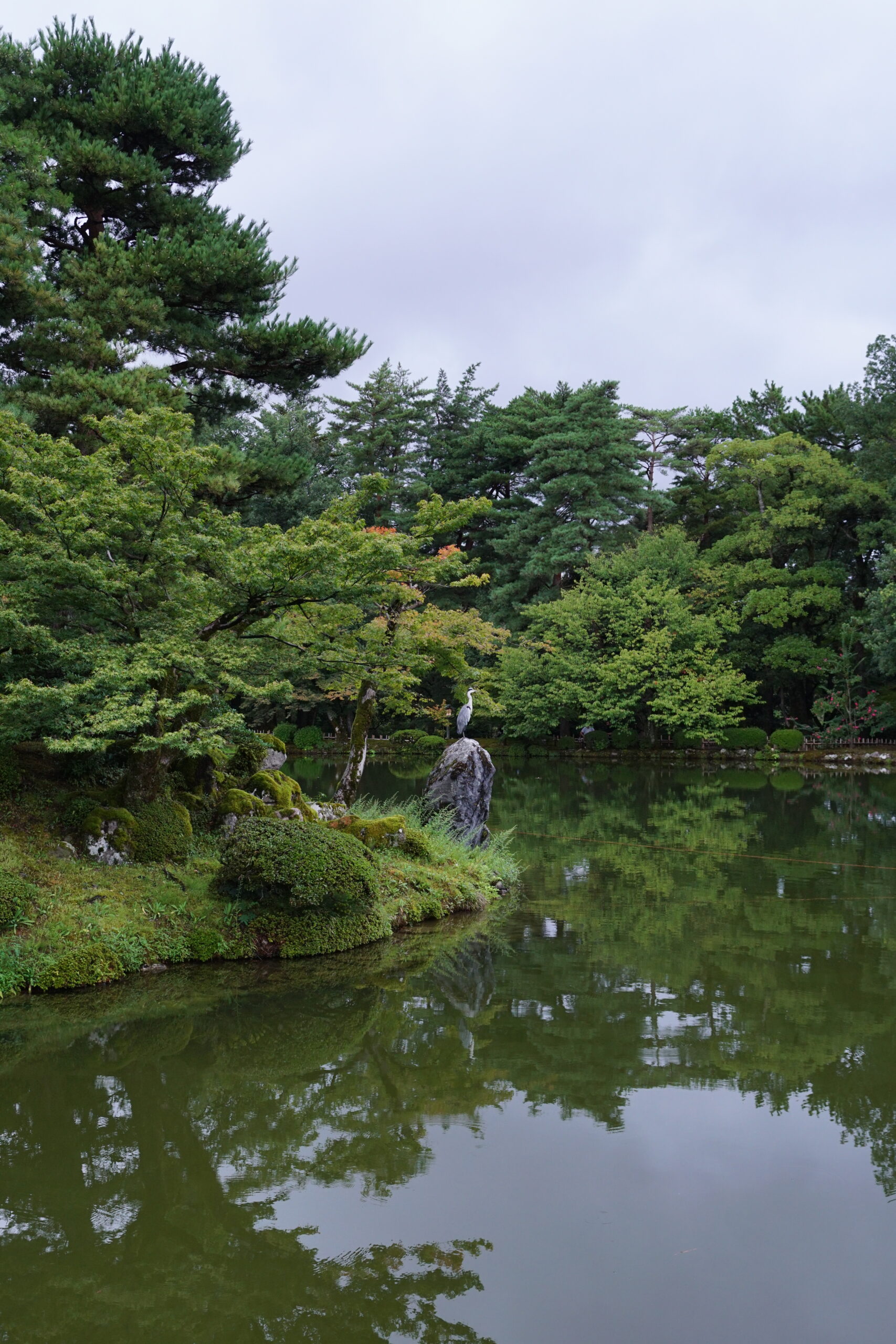 兼六園霞之池與石燈籠