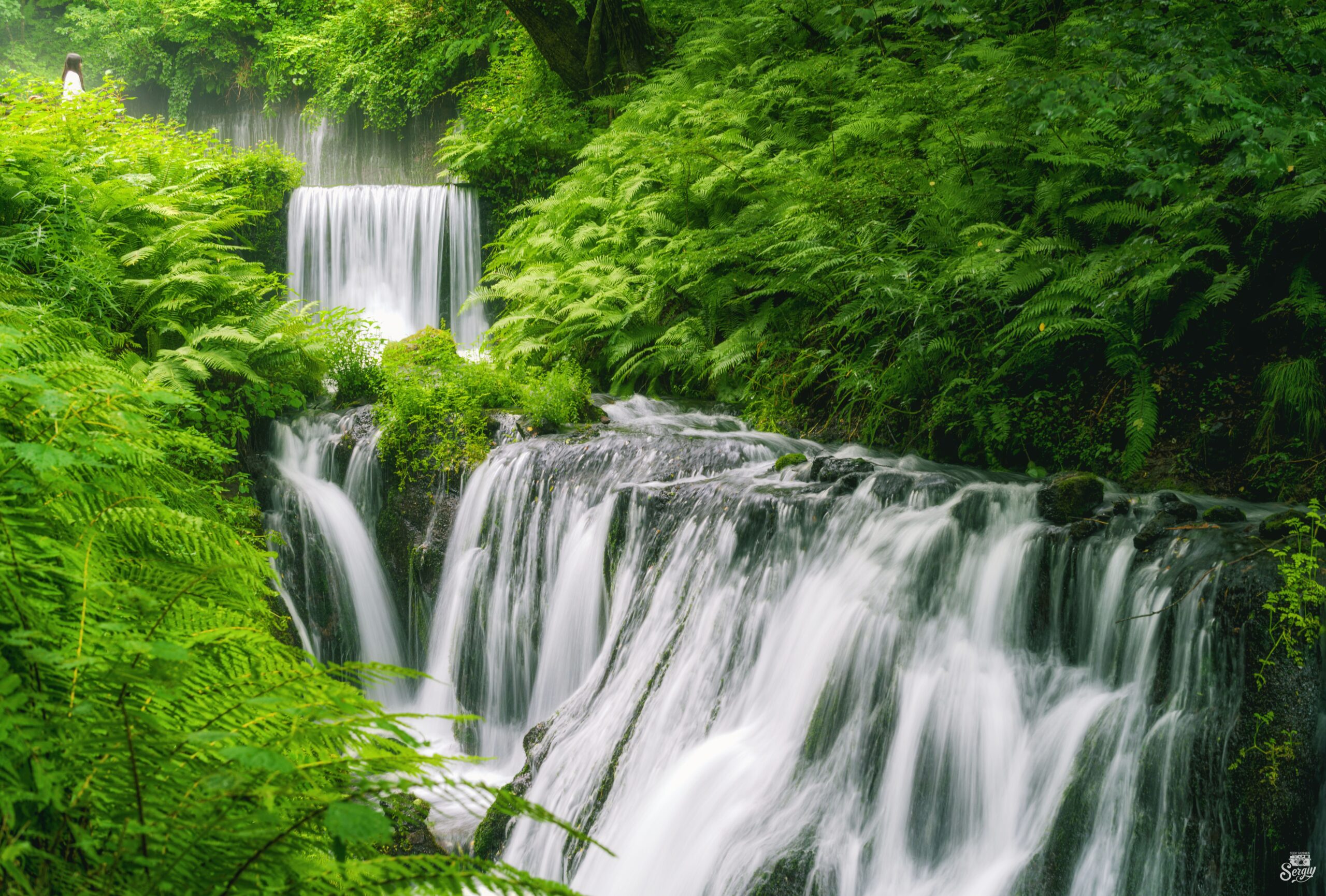 意外的貞子 - Flickr - 謝爾蓋·加連金