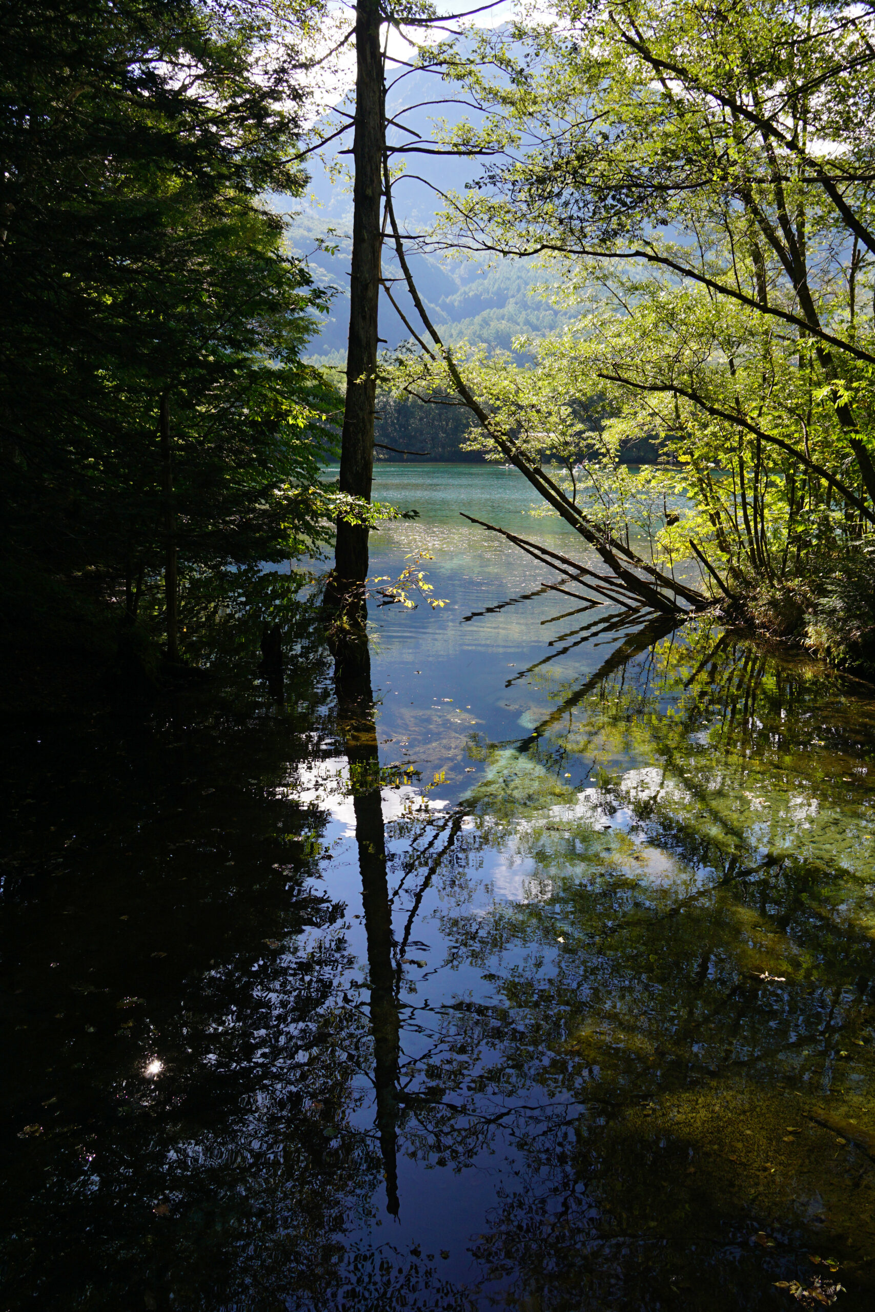 日本上高地大正池風景
