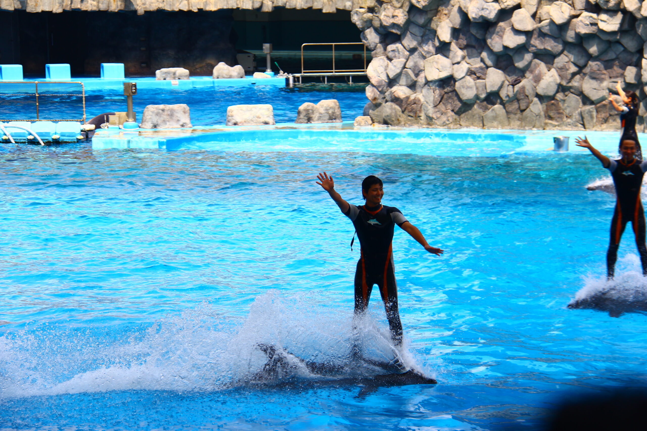 日本名古屋水族館海豚表演