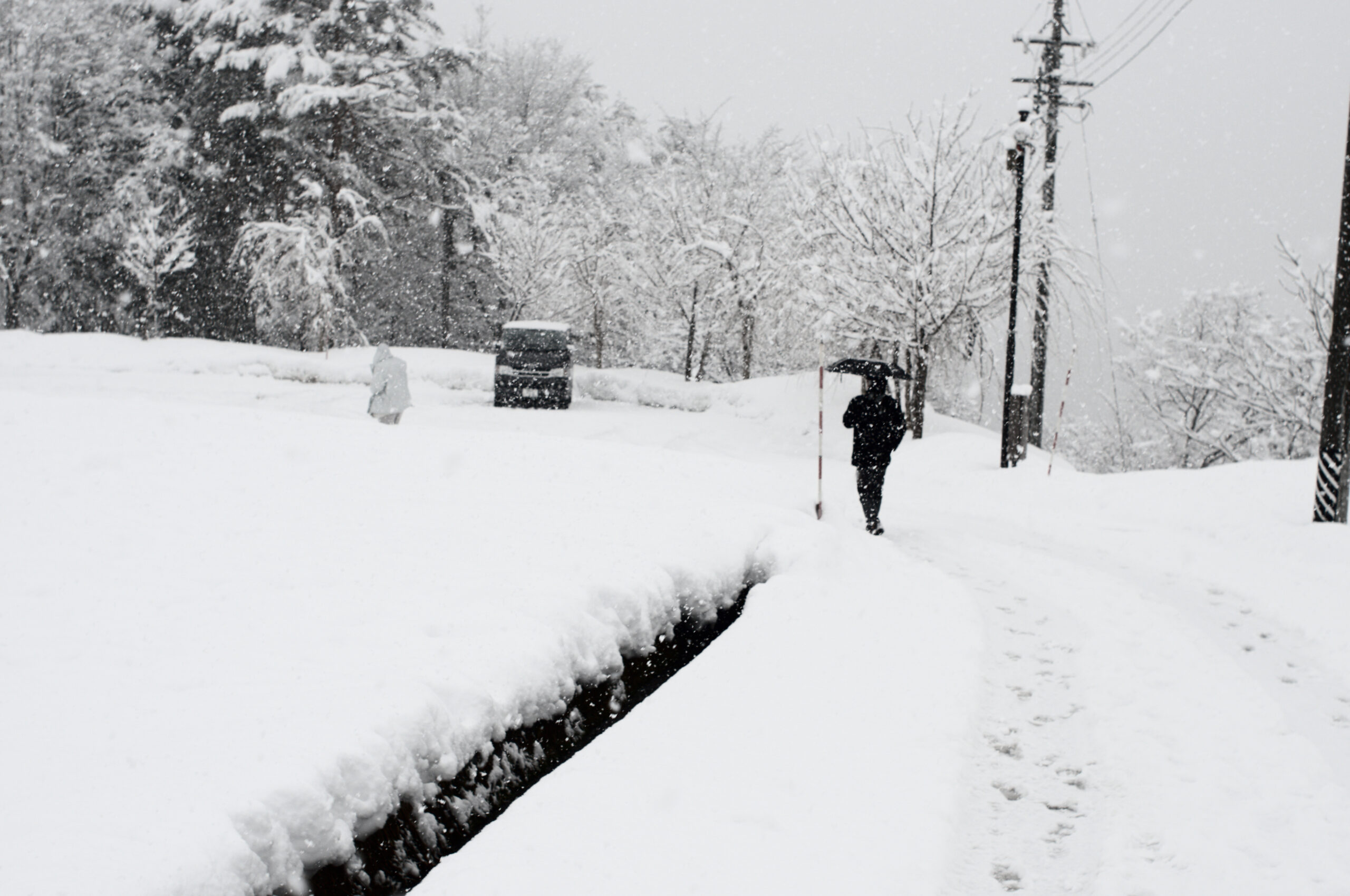 日本岐阜縣大野郡白川鄉荻町全景