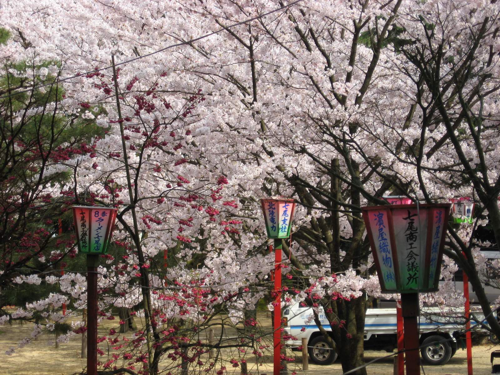 日本能登市小丸山公園