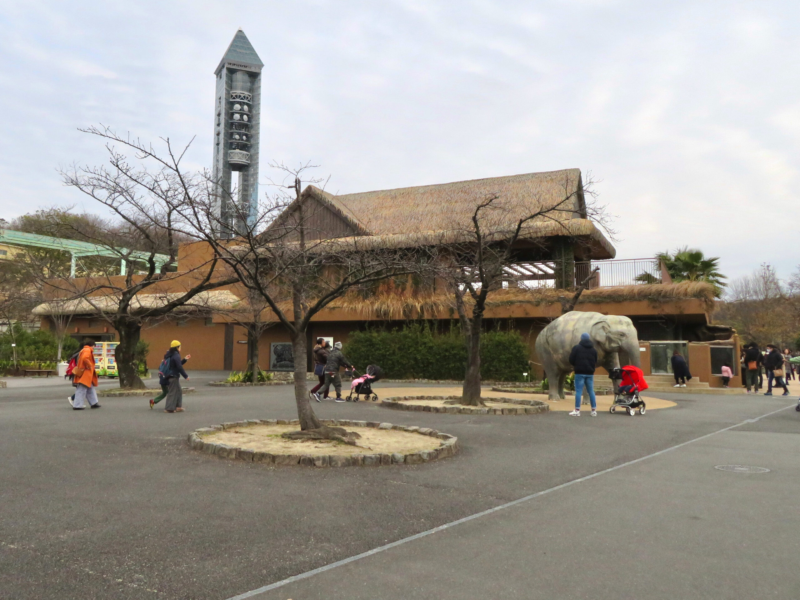 東山動植物園亞洲象家族