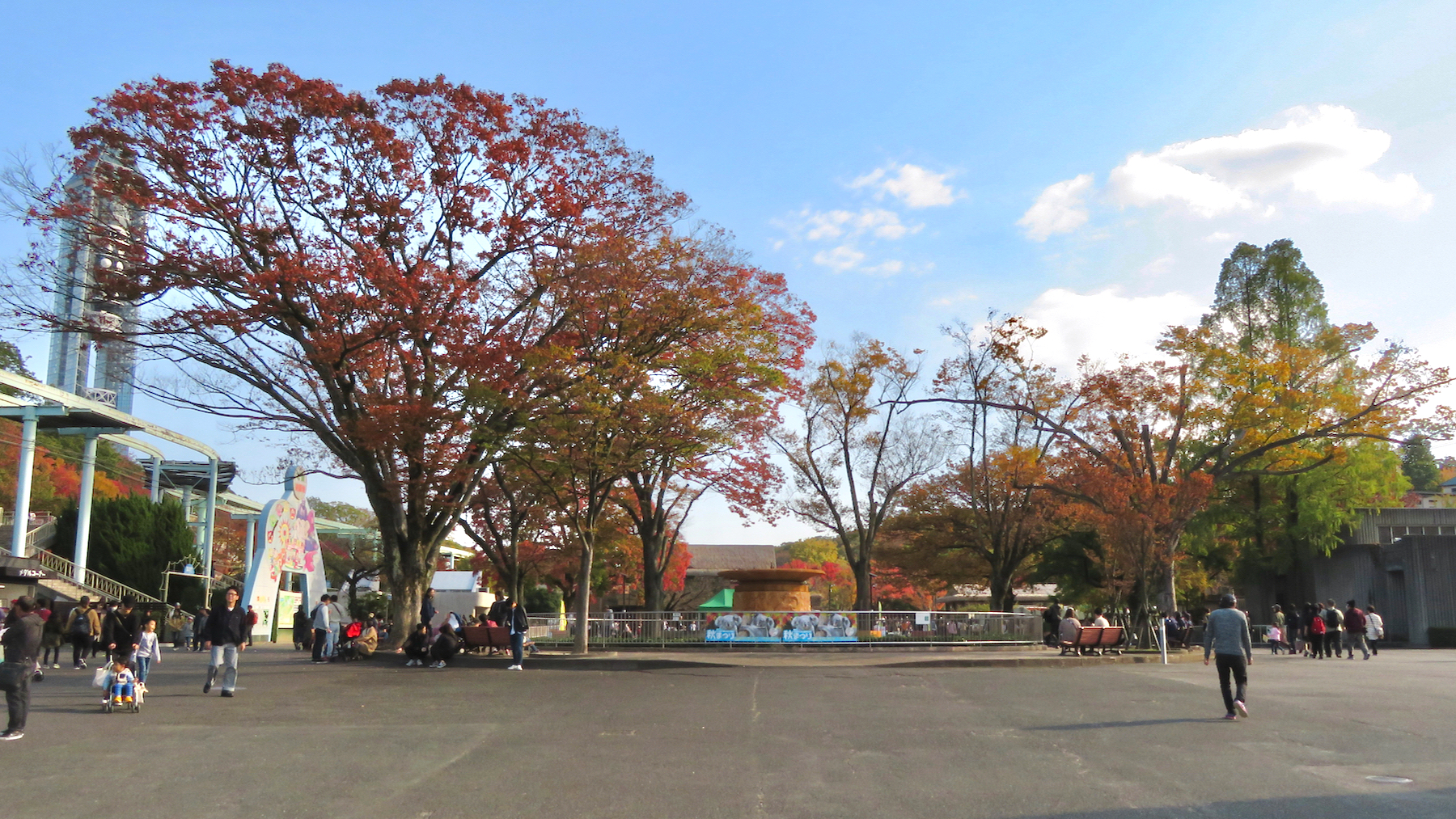 東山動植物園的秋葉