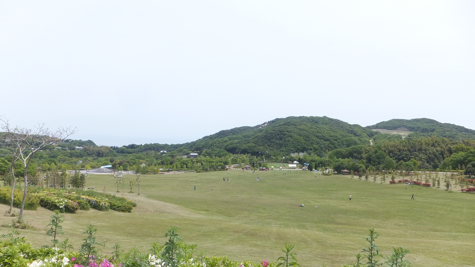 淡路島公園 兵庫縣森林區