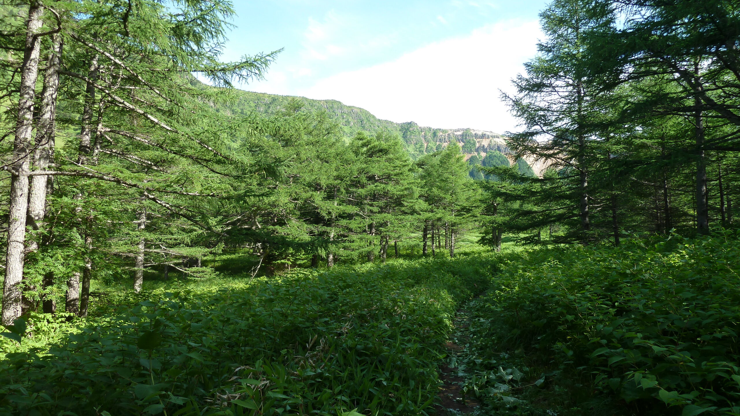 淺間山（前掛山登山道、火山館北側）