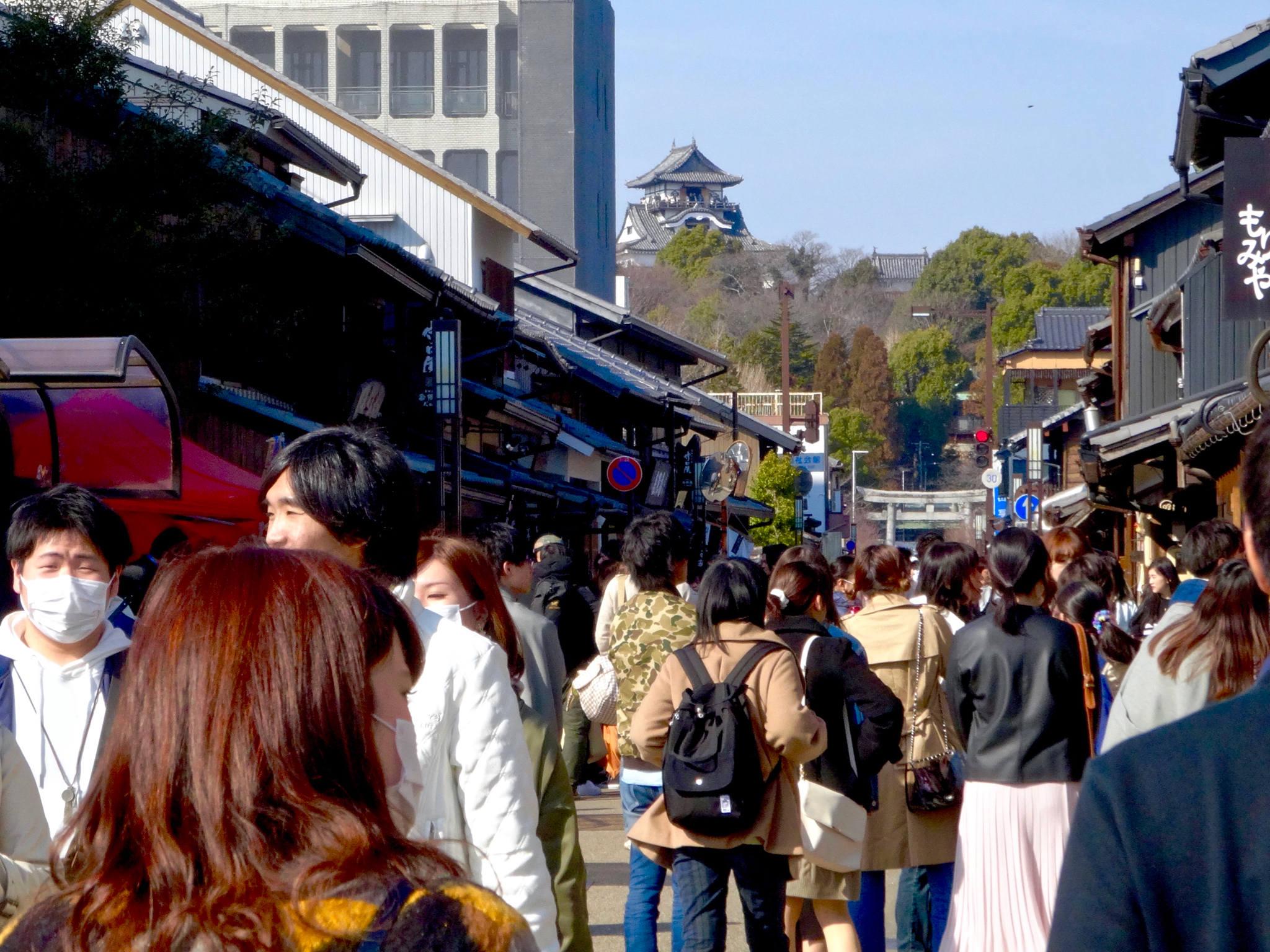 犬山城早春景色