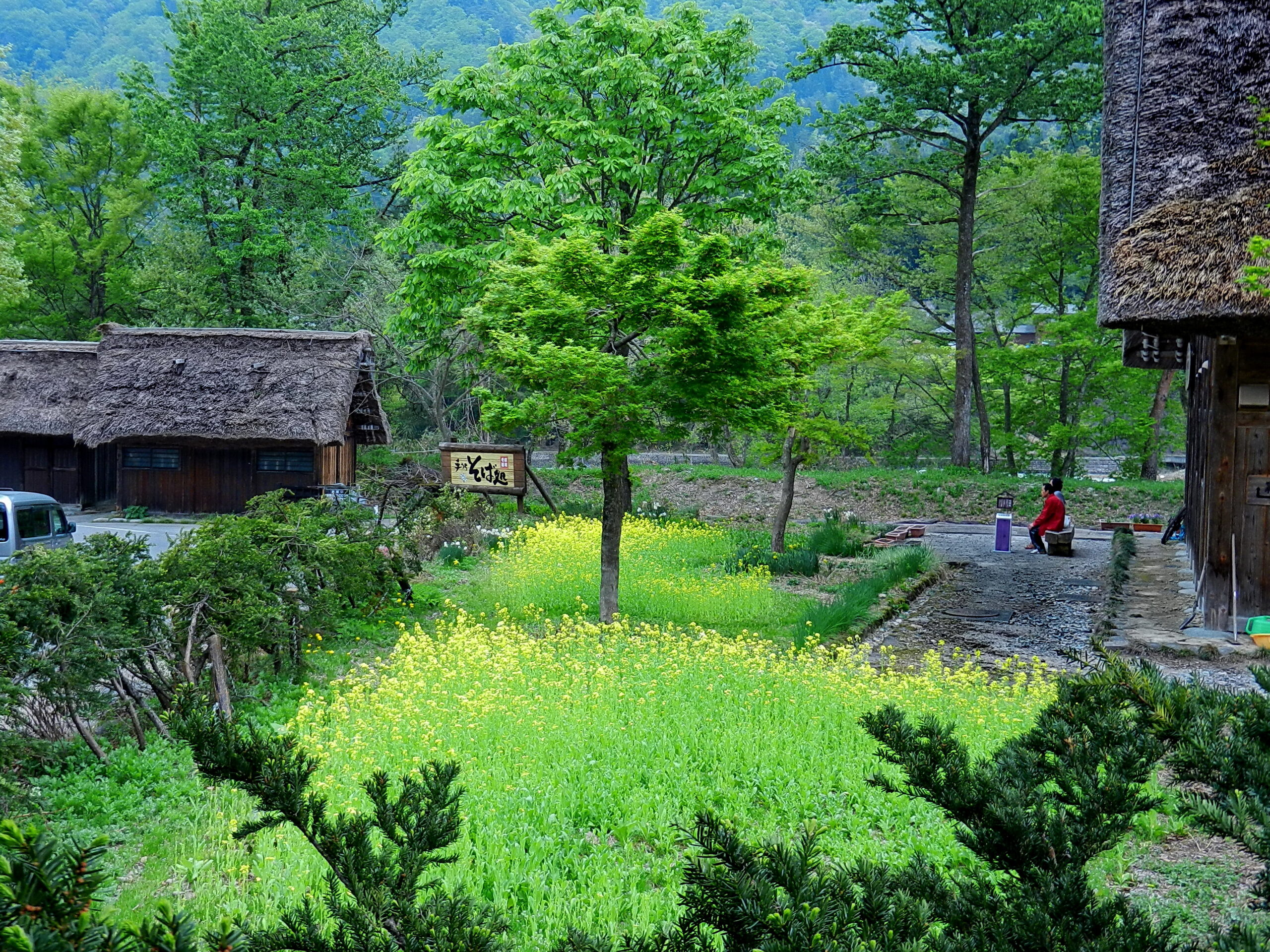白川鄉合掌村全景