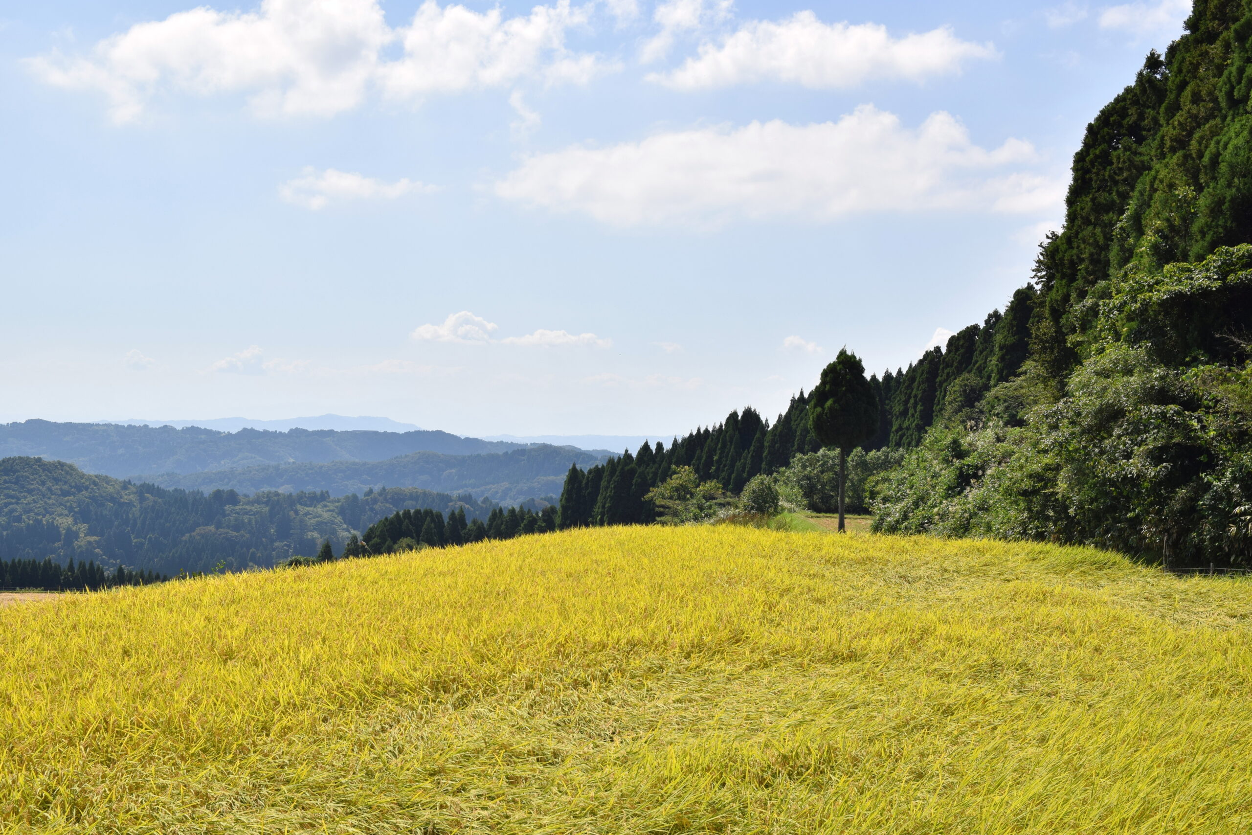 石川縣能登半島