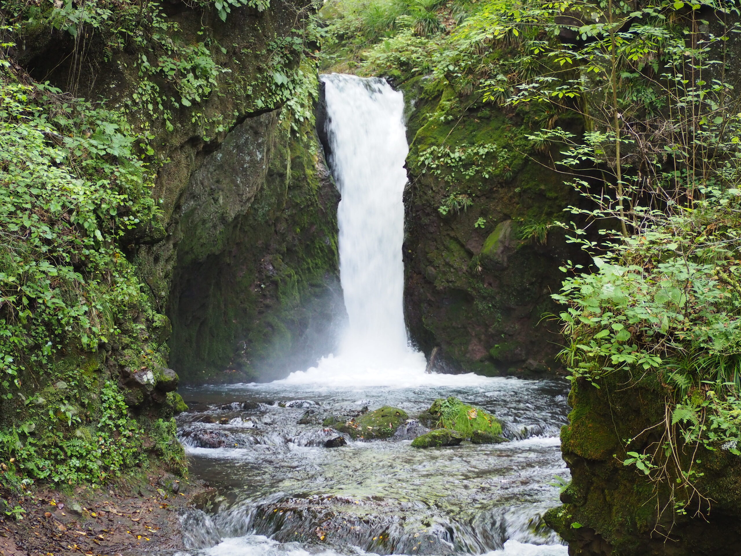 竜返しの滝景觀