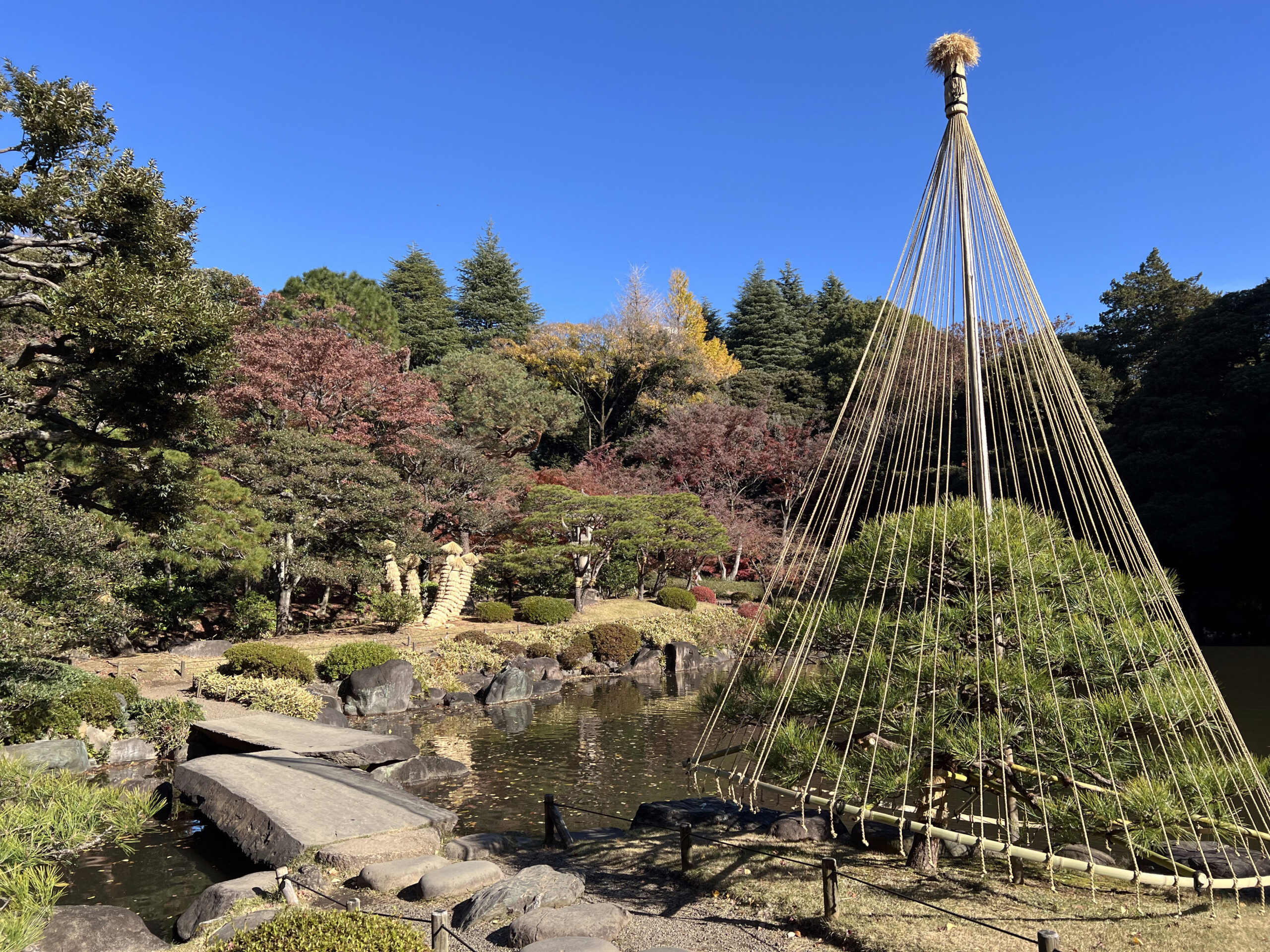 舊古川庭園 - 日式庭園