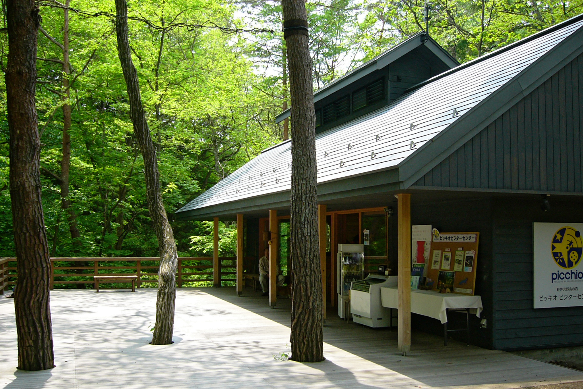 輕井澤八丁之森