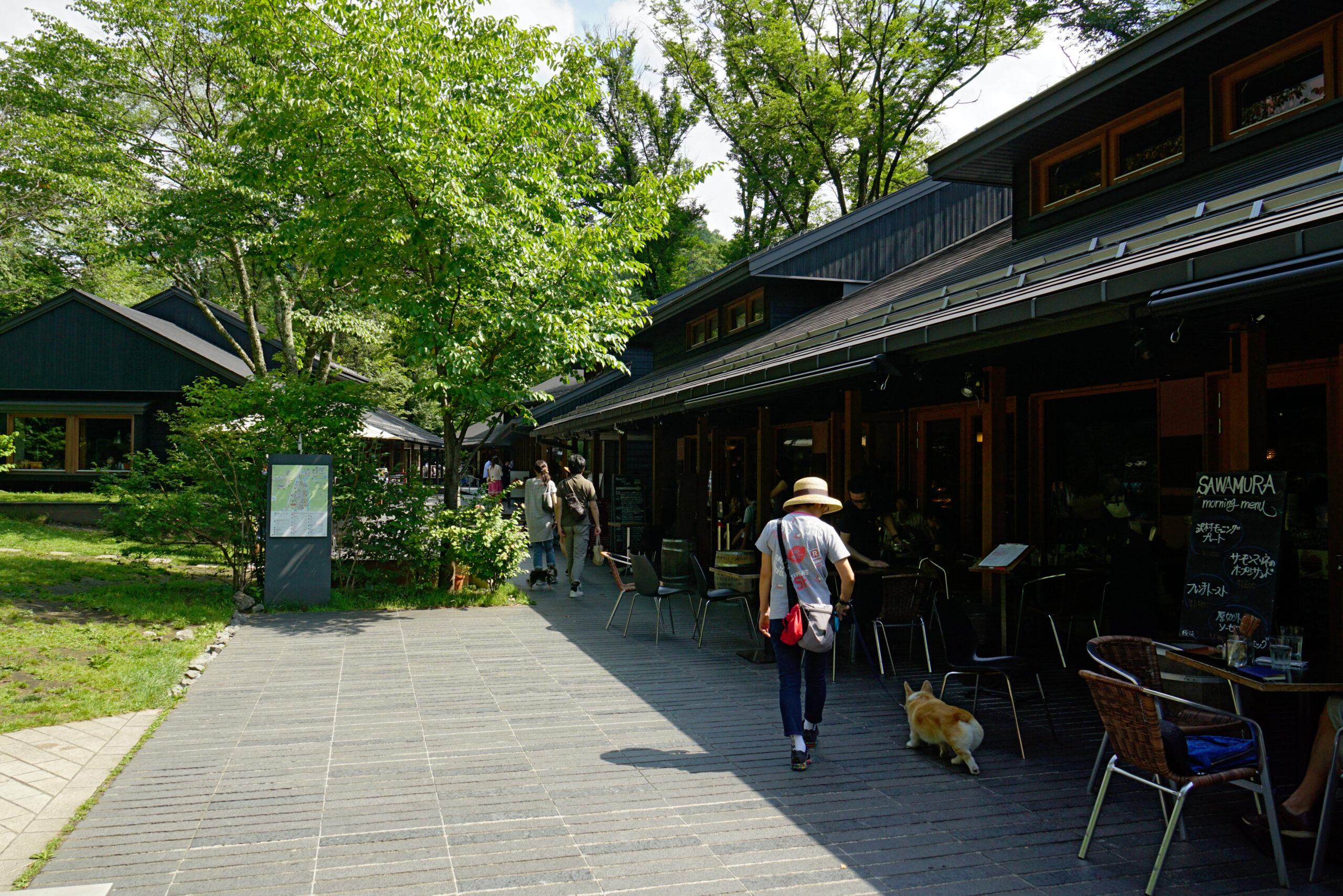 輕井澤原生樹台，長野縣，日本