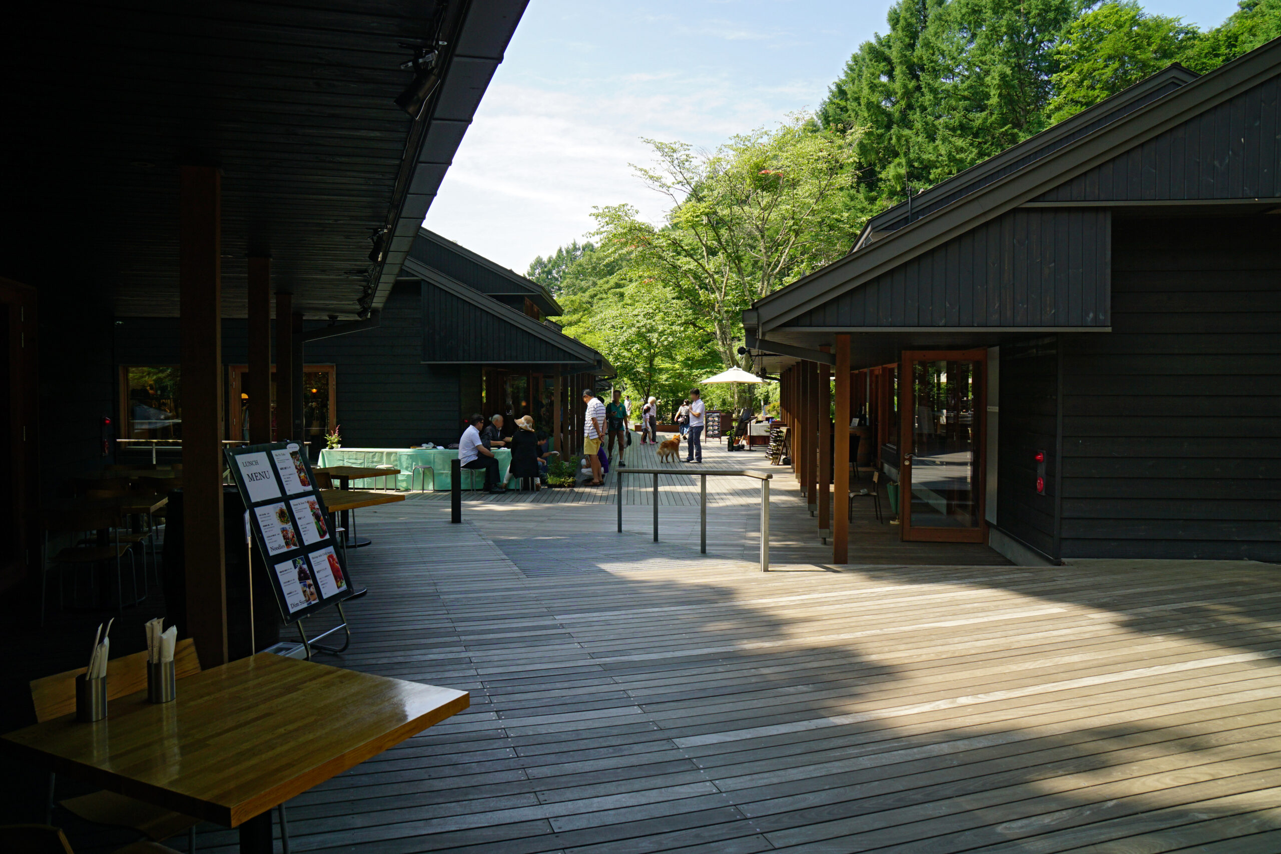 輕井澤榆樹街秋季景色