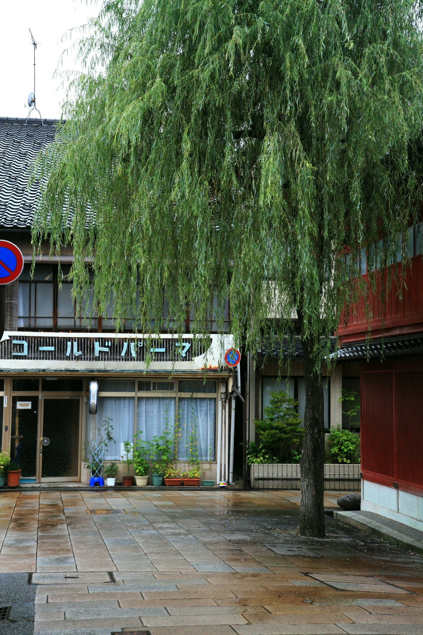 金澤東茶屋街石板路
