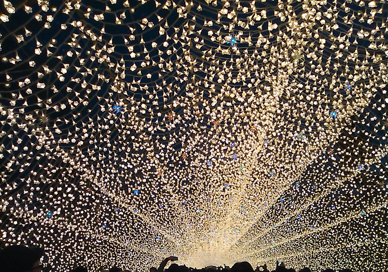 長島花之里燈光秀