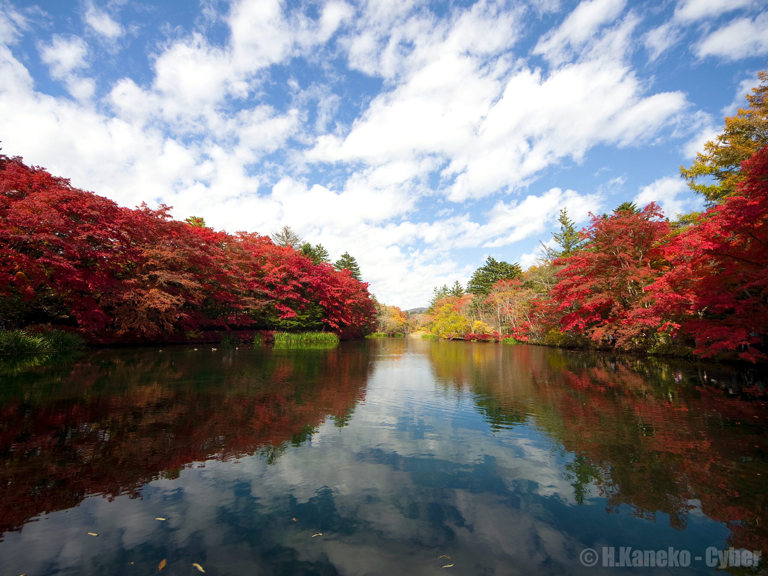 雲場池秋季紅葉倒影