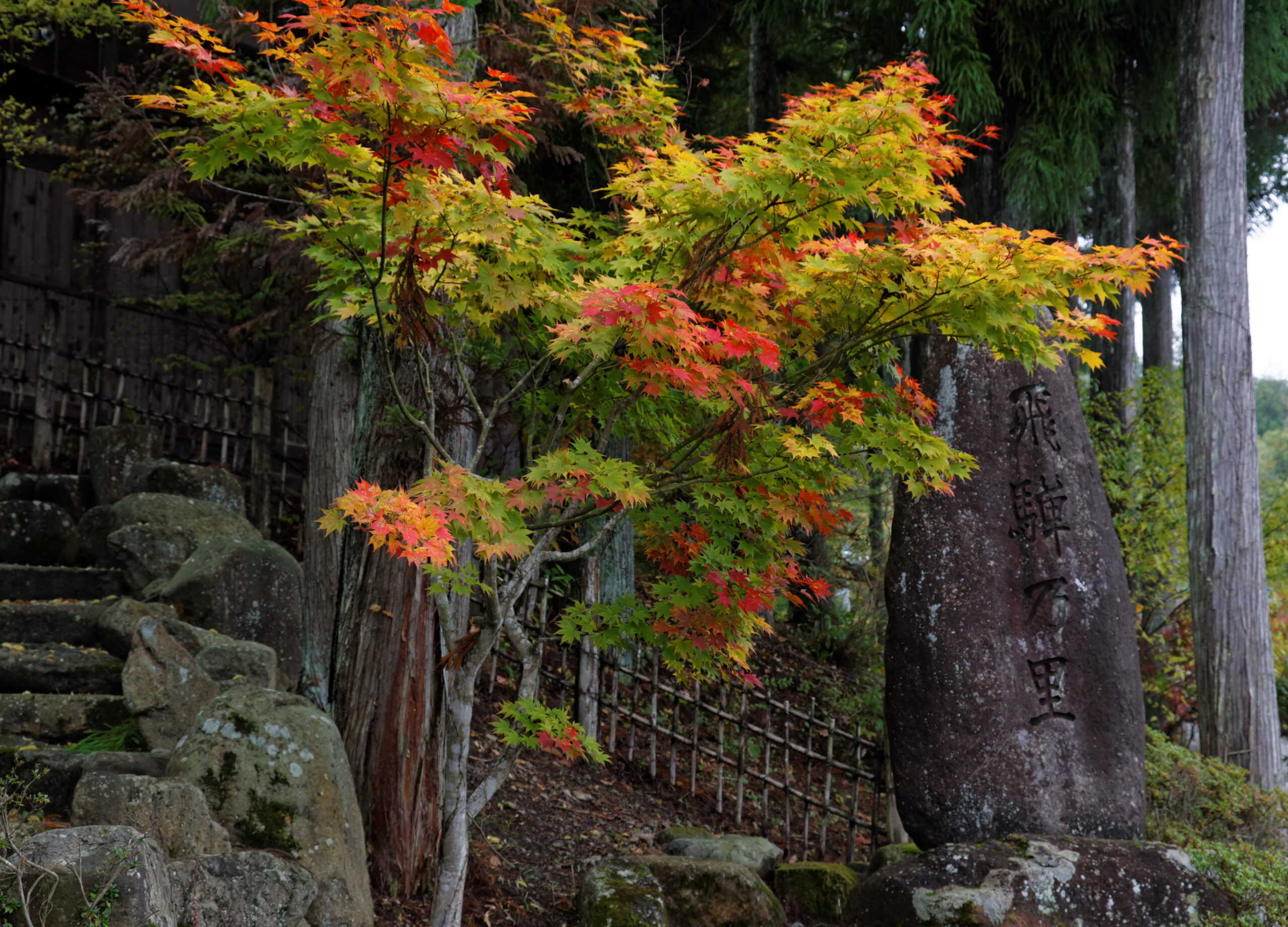 飛驒之里入口，重建的傳統村落