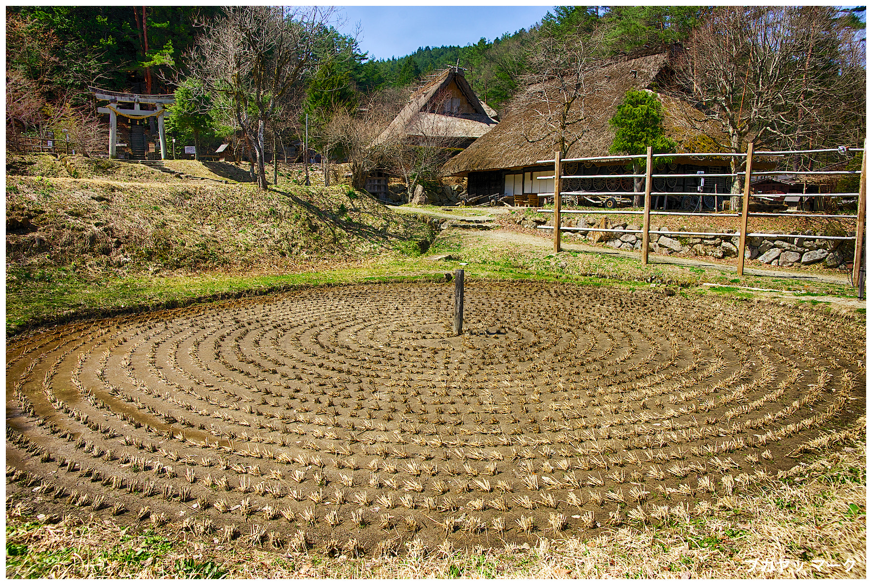 飛驒之里合掌造建築群全景，展示多棟茅草屋頂建築與周圍自然環境