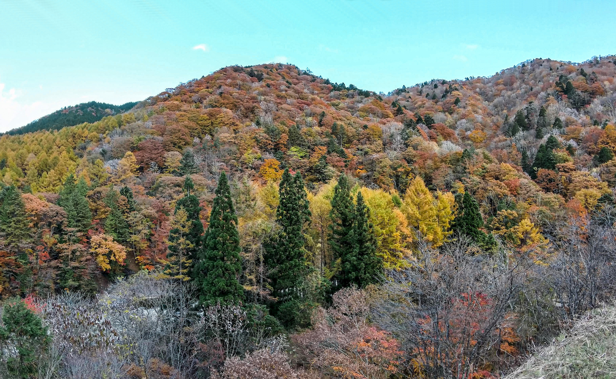 飛驒瀨瀨路-秋葉