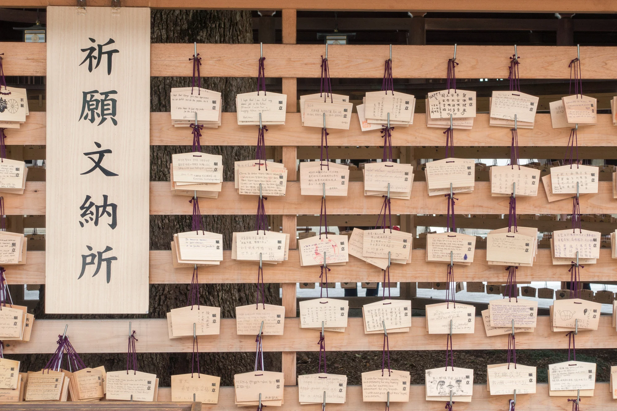 Meiji-Jingu-wish