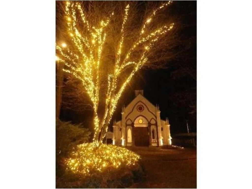 舊輕井澤酒店音羽之森（Kyu-Karuizawa Hotel Otowa no Mori）酒店照片 5/5