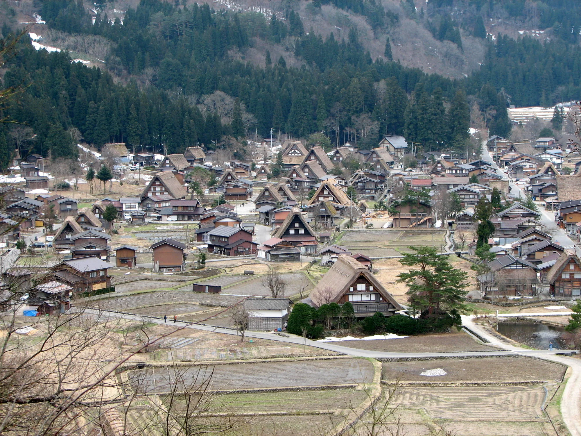 白川鄉荻町合掌村夏季全景，綠色稻田環繞的合掌造建築群