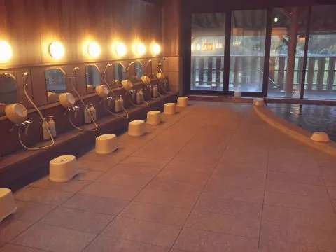 白川鄉之湯(Shirakawago no Yu)酒店照片 2/5