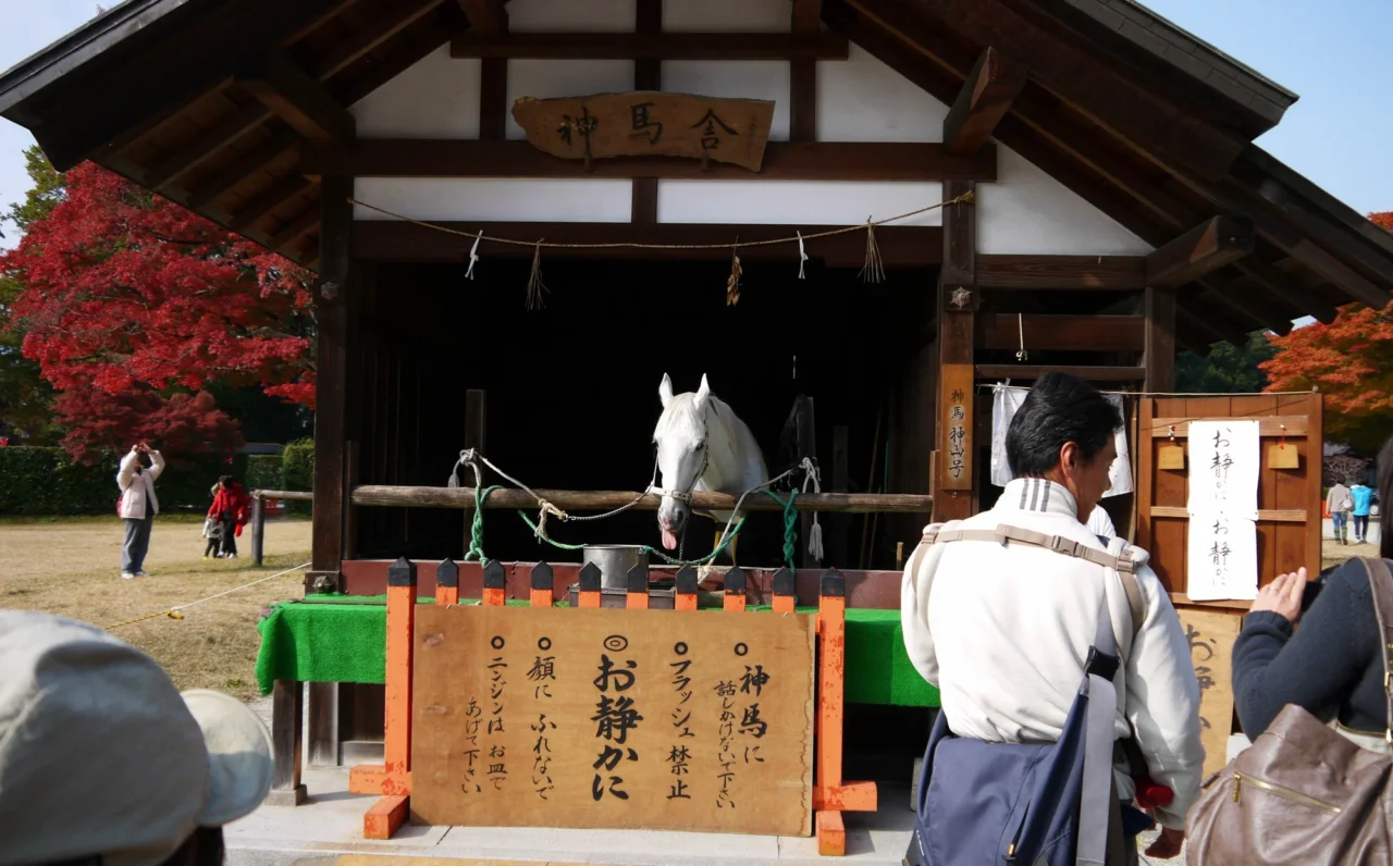 上賀茂神社神馬