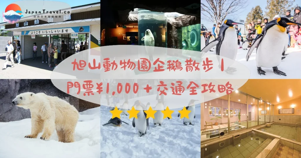 旭山動物園攻略 - 完整遊覽指南 | JapanTravel.co