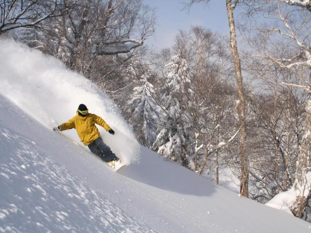 富良野Natulux用餐空間（Furano Natulux Hotel）