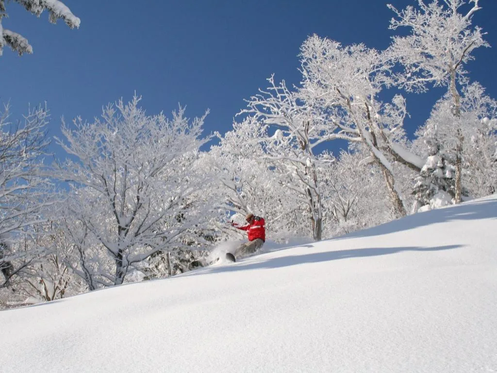 富良野Natulux外觀（Furano Natulux Hotel）