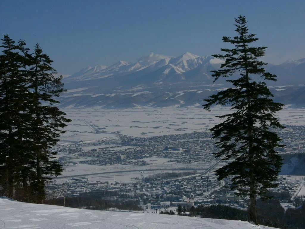 富良野Naturwald用餐空間（Hotel Naturwald Furano）