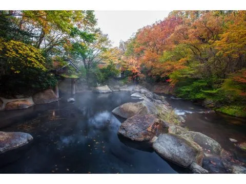 黑川溫泉山みず木（Kurokawaonsen Yamamizuki）