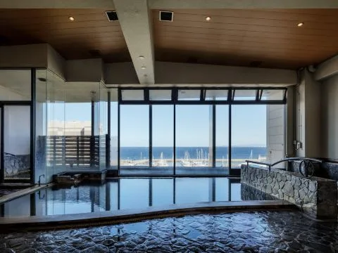 別府新鶴田酒店溫泉浴池(New Tsuruta Hotel)