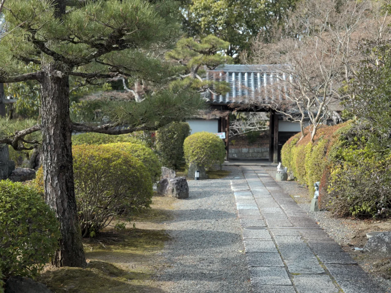仁和寺中門參道