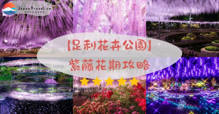 【足利花卉公園】2026紫藤花期攻略：門票¥2,300、160年大藤、東京90分直達｜拍攝時段+交通比較