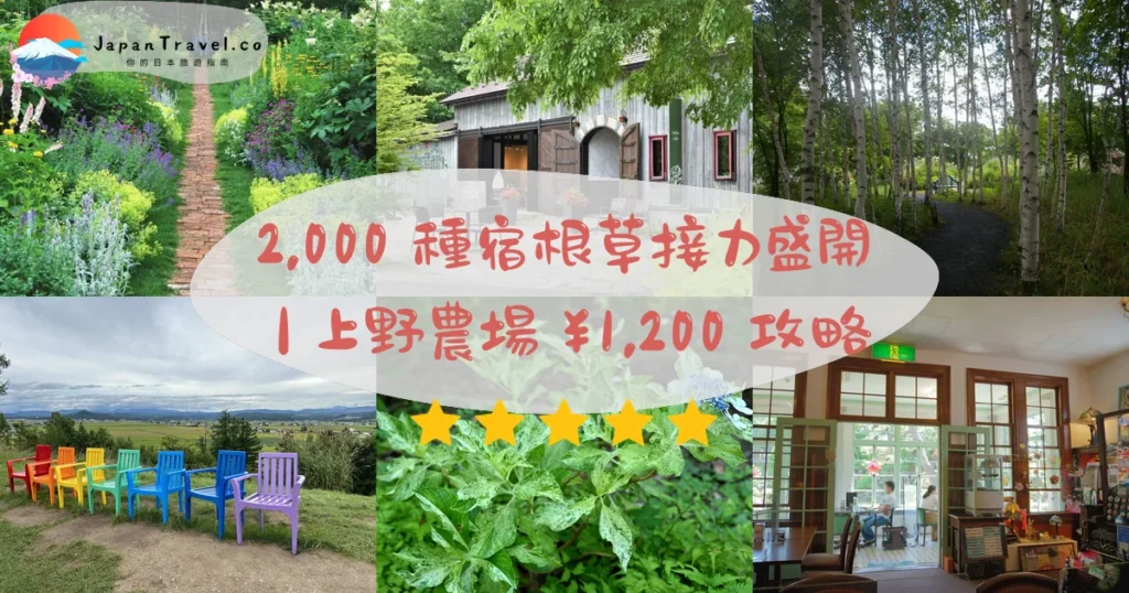 【上野農場】2026門票¥1,200:花期4月至10月.35分鐘巴士.旭山動物園一日遊|北海道旭川