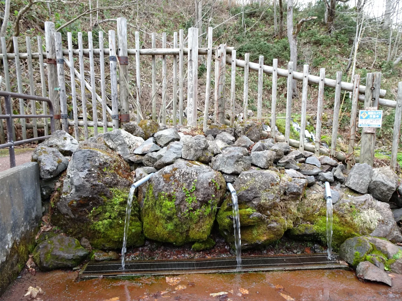 羊蹄山湧水公園取水口與清澈湧泉