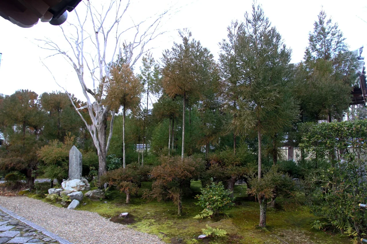 源光庵實景