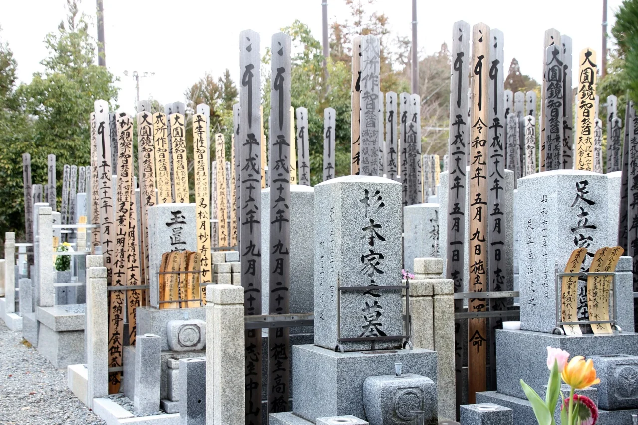 源光庵實景